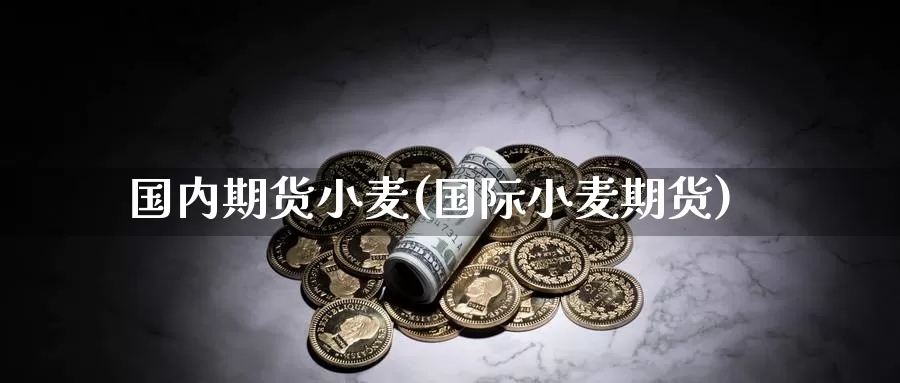 国内期货小麦(国际小麦期货)_https://www.baokan.net_期货培训_第1张