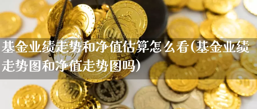 基金业绩走势和净值估算怎么看(基金业绩走势图和净值走势图吗)_国际期货_第1张_宝勘金融网 基金业绩走势和净值估算怎么看(基金业绩走势图和净值走势图吗)_https://www.baokan.net_国际期货_第1张