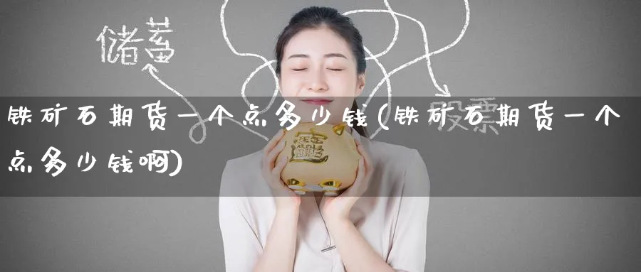 铁矿石期货一个点多少钱(铁矿石期货一个点多少钱啊)_https://www.baokan.net_期货培训_第1张