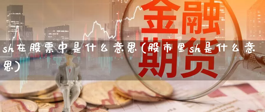sh在股票中是什么意思(股市里sh是什么意思)_https://www.baokan.net_期货软件_第1张
