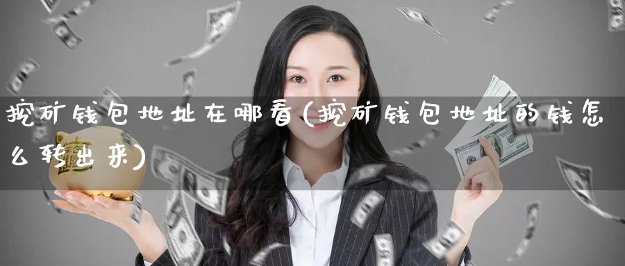 挖矿钱包地址在哪看(挖矿钱包地址的钱怎么转出来)_https://www.baokan.net_币圈行情_第1张