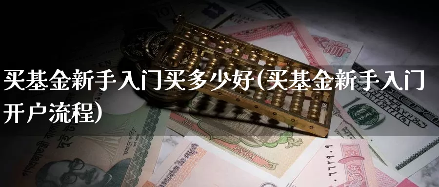 买基金新手入门买多少好(买基金新手入门开户流程)_https://www.baokan.net_期货技术_第1张