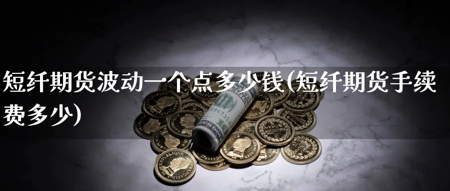 短纤期货波动一个点多少钱(短纤期货手续费多少)_https://www.baokan.net_恒指期货_第1张