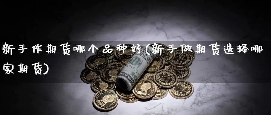新手作期货哪个品种好(新手做期货选择哪家期货)_期货技术_第1张_宝勘金融网 新手作期货哪个品种好(新手做期货选择哪家期货)_https://www.baokan.net_期货技术_第1张