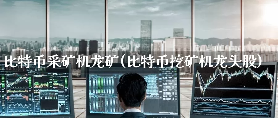 比特币采矿机龙矿(比特币挖矿机龙头股)_https://www.baokan.net_币圈行情_第1张