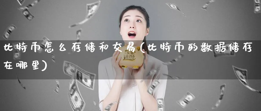比特币怎么存储和交易(比特币的数据储存在哪里)_https://www.baokan.net_期货喊单_第1张