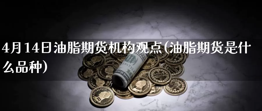 4月14日油脂期货机构观点(油脂期货是什么品种)_https://www.baokan.net_期货入门_第1张