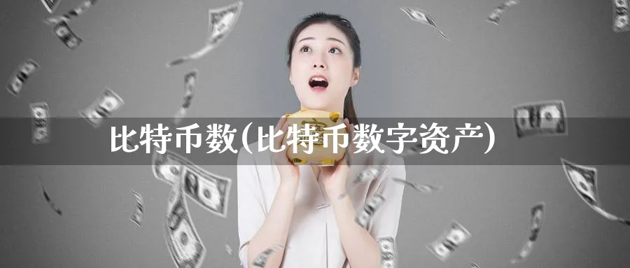 比特币数(比特币数字资产)_https://www.baokan.net_币圈行情_第1张