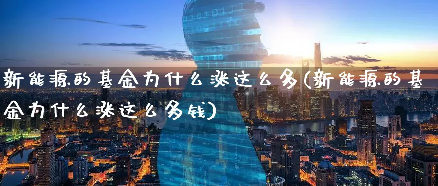 新能源的基金为什么涨这么多(新能源的基金为什么涨这么多钱)_https://www.baokan.net_期货软件_第1张