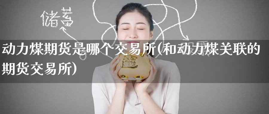 动力煤期货是哪个交易所(和动力煤关联的期货交易所)_https://www.baokan.net_纳指期货_第1张