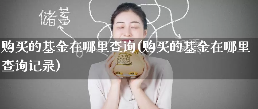 购买的基金在哪里查询(购买的基金在哪里查询记录)_https://www.baokan.net_期货软件_第1张