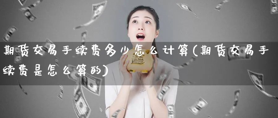 期货交易手续费多少怎么计算(期货交易手续费是怎么算的)_https://www.baokan.net_原油期货_第1张
