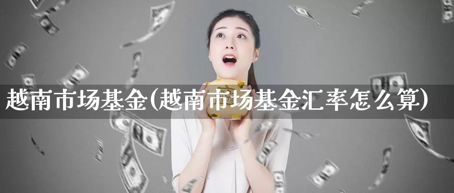 越南市场基金(越南市场基金汇率怎么算)_https://www.baokan.net_期货入门_第1张