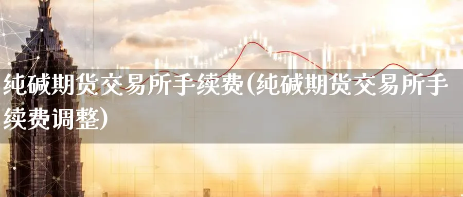 纯碱期货交易所手续费(纯碱期货交易所手续费调整)_https://www.baokan.net_期货百科_第1张