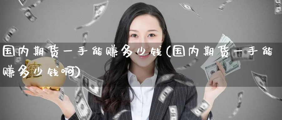 国内期货一手能赚多少钱(国内期货一手能赚多少钱啊)_https://www.baokan.net_黄金期货_第1张