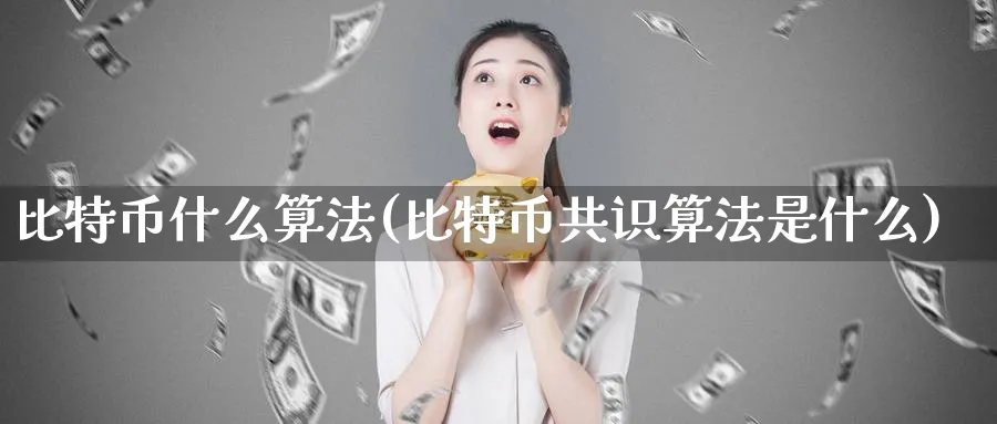 比特币什么算法(比特币共识算法是什么)_https://www.baokan.net_币圈行情_第1张