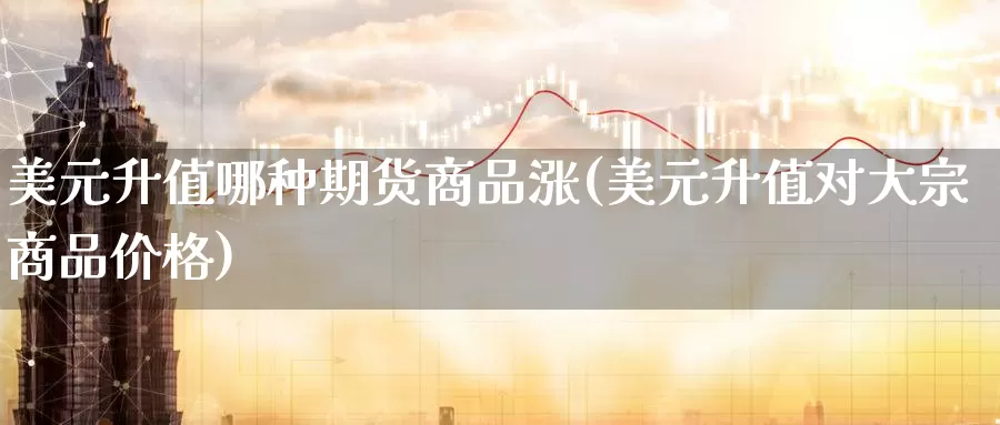 美元升值哪种期货商品涨(美元升值对大宗商品价格)_https://www.baokan.net_币圈行情_第1张