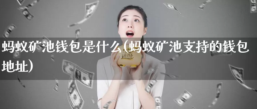 蚂蚁矿池钱包是什么(蚂蚁矿池支持的钱包地址)_https://www.baokan.net_币圈行情_第1张