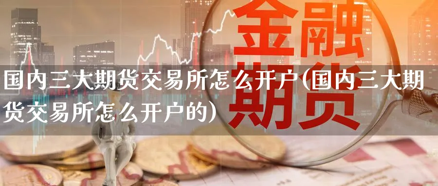 国内三大期货交易所怎么开户(国内三大期货交易所怎么开户的)_https://www.baokan.net_期货开户_第1张