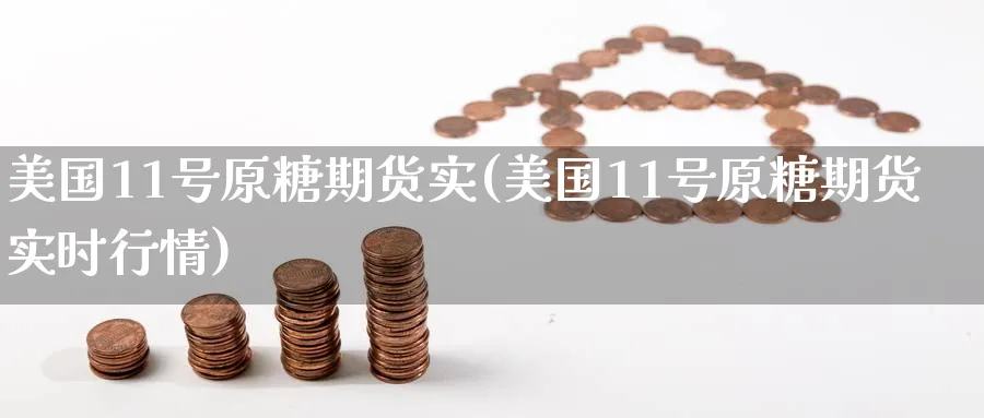 美国11号原糖期货实(美国11号原糖期货实时行情)_https://www.baokan.net_期货交易_第1张