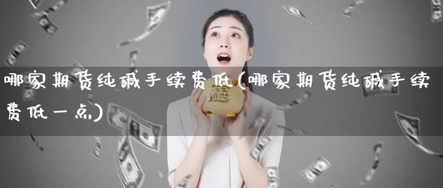 哪家期货纯碱手续费低(哪家期货纯碱手续费低一点)_https://www.baokan.net_内盘期货_第1张