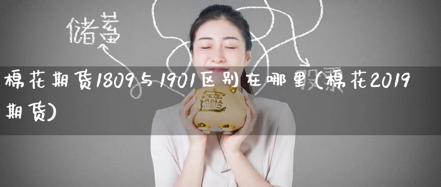 棉花期货1809与1901区别在哪里(棉花2019期货)_https://www.baokan.net_期货分析_第1张