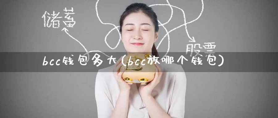 bcc钱包多大(bcc放哪个钱包)_https://www.baokan.net_币圈行情_第1张