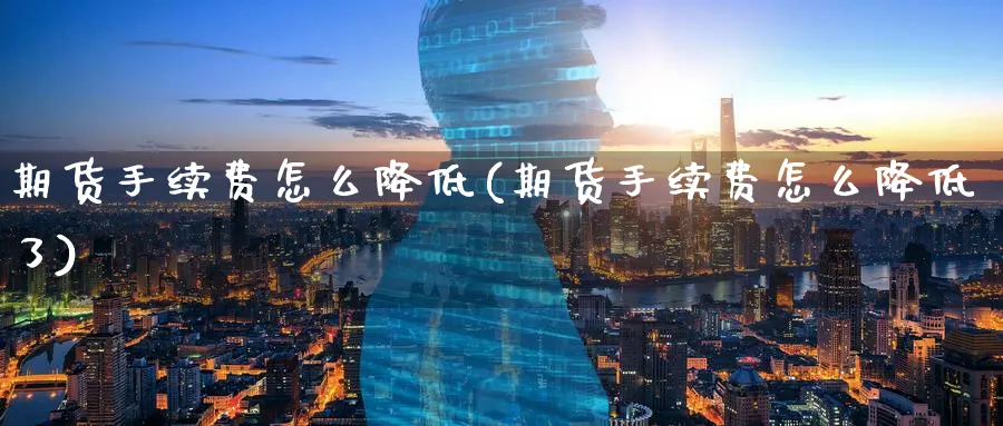 期货手续费怎么降低(期货手续费怎么降低了)_https://www.baokan.net_期货软件_第1张