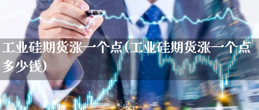 工业硅期货涨一个点(工业硅期货涨一个点多少钱)_https://www.baokan.net_期货公司_第1张