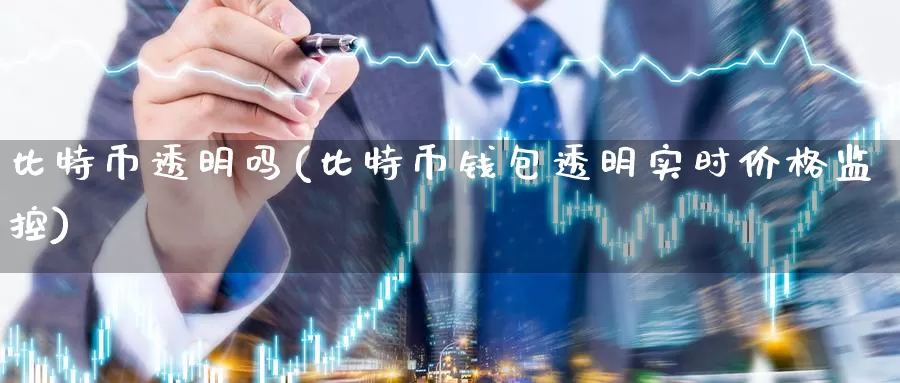 比特币透明吗(比特币钱包透明实时价格监控)_https://www.baokan.net_币圈行情_第1张