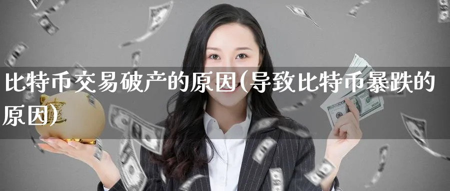 比特币交易破产的原因(导致比特币暴跌的原因)_https://www.baokan.net_内盘期货_第1张