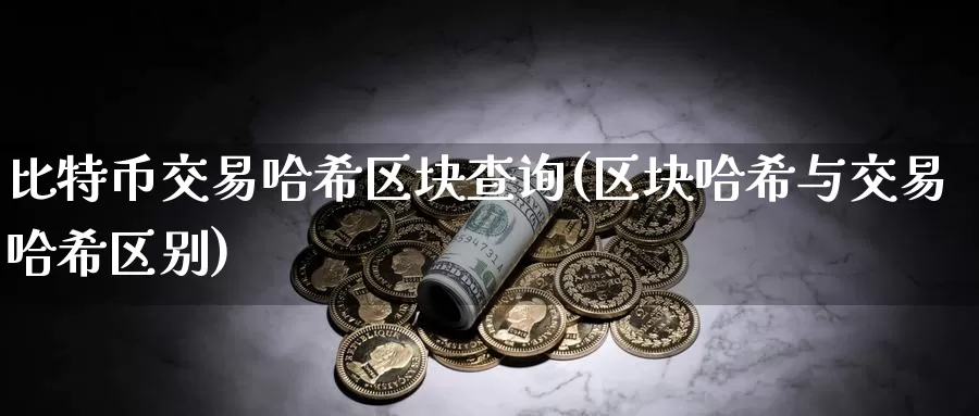 比特币交易哈希区块查询(区块哈希与交易哈希区别)_https://www.baokan.net_币圈行情_第1张