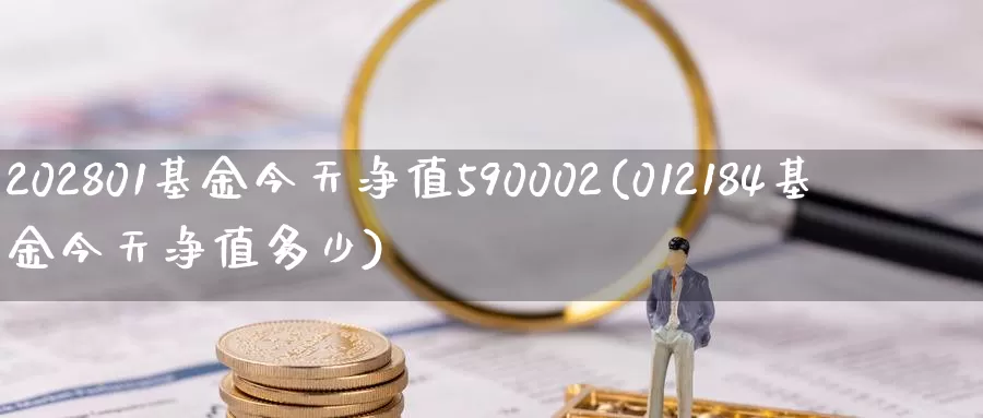 202801基金今天净值590002(012184基金今天净值多少)_https://www.baokan.net_国际期货_第1张