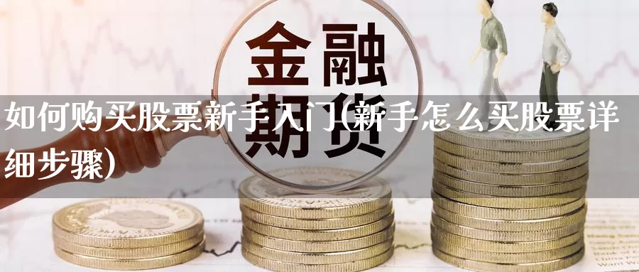 如何购买股票新手入门(新手怎么买股票详细步骤)_https://www.baokan.net_恒指期货_第1张
