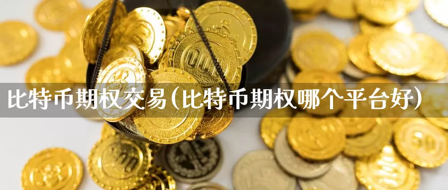 比特币期权交易(比特币期权哪个平台好)_https://www.baokan.net_币圈行情_第1张
