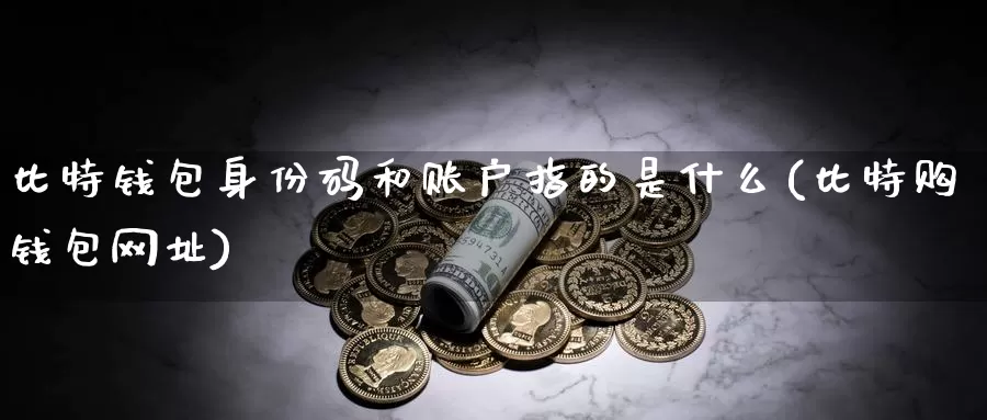 比特钱包身份码和账户指的是什么(比特购钱包网址)_https://www.baokan.net_币圈行情_第1张