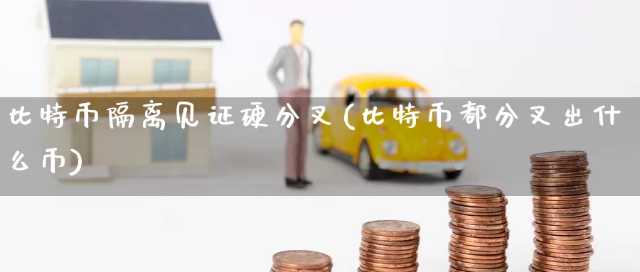 比特币隔离见证硬分叉(比特币都分叉出什么币)_https://www.baokan.net_币圈行情_第1张