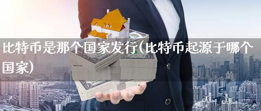 比特币是那个国家发行(比特币起源于哪个国家)_https://www.baokan.net_币圈行情_第1张