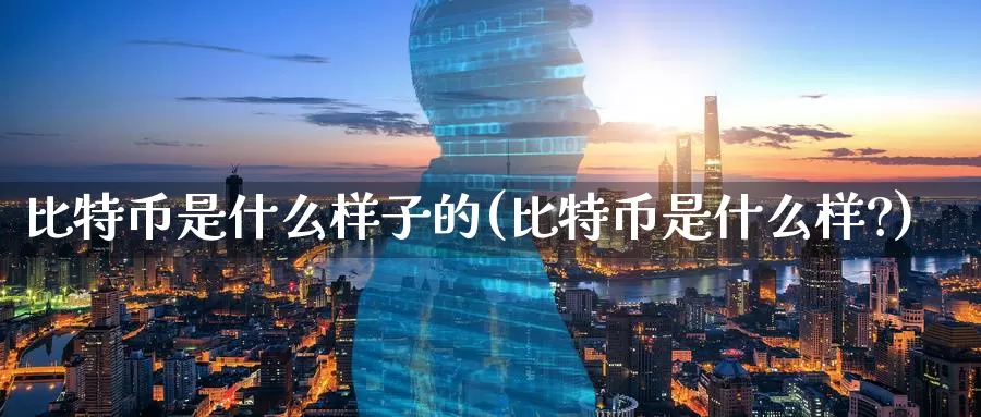 比特币是什么样子的(比特币是什么样?)_https://www.baokan.net_币圈行情_第1张