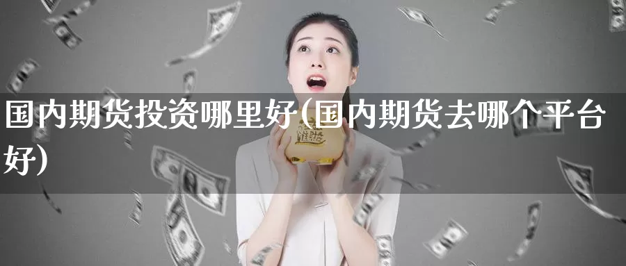 国内期货投资哪里好(国内期货去哪个平台好)_https://www.baokan.net_期货平台_第1张