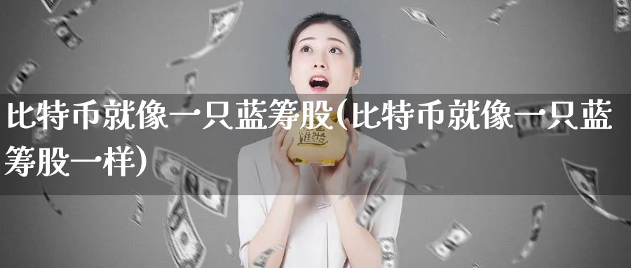 比特币就像一只蓝筹股(比特币就像一只蓝筹股一样)_https://www.baokan.net_币圈行情_第1张