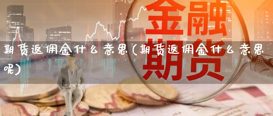 期货返佣金什么意思(期货返佣金什么意思呢)_https://www.baokan.net_期货行情_第1张