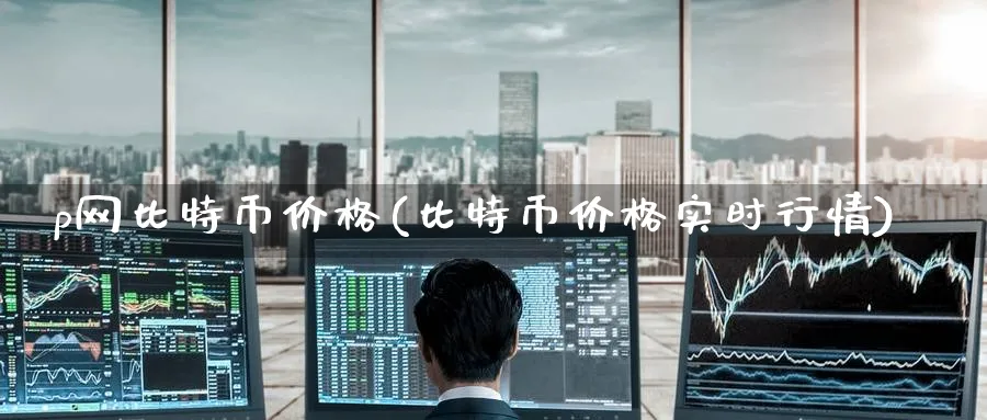 p网比特币价格(比特币价格实时行情)_https://www.baokan.net_币圈行情_第1张