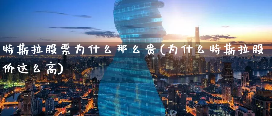 特斯拉股票为什么那么贵(为什么特斯拉股价这么高)_https://www.baokan.net_恒指期货_第1张