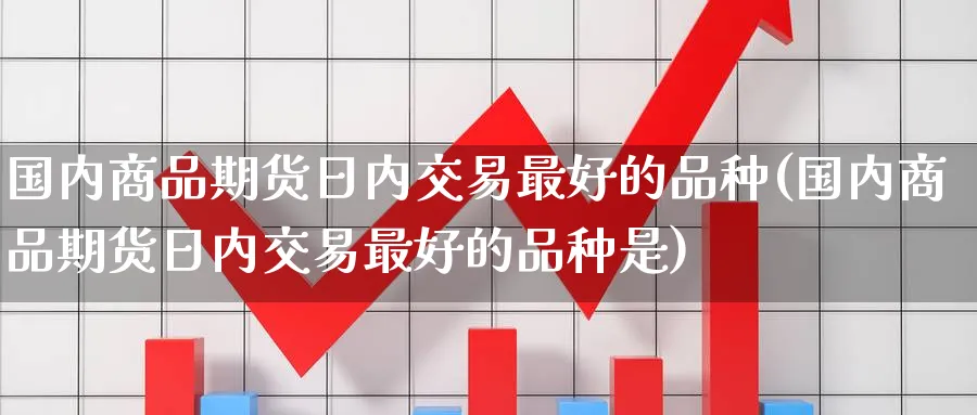国内商品期货日内交易最好的品种(国内商品期货日内交易最好的品种是)_https://www.baokan.net_期货软件_第1张