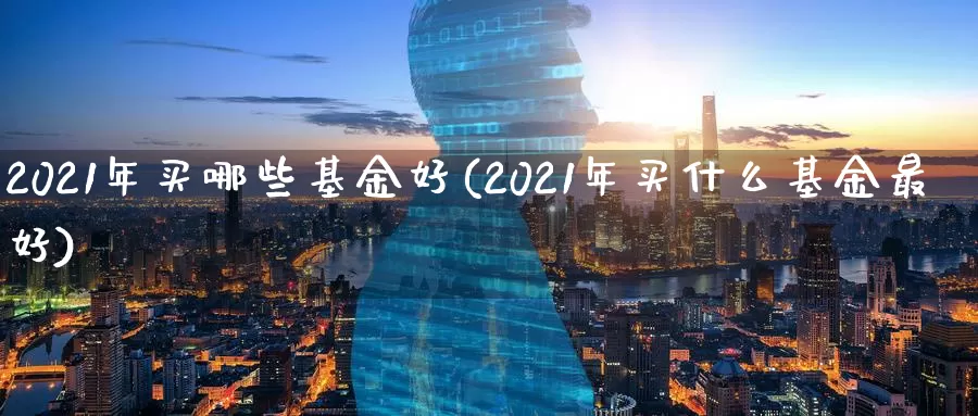 2021年买哪些基金好(2021年买什么基金最好)_期货公司_第1张_宝勘金融网 2021年买哪些基金好(2021年买什么基金最好)_https://www.baokan.net_期货公司_第1张