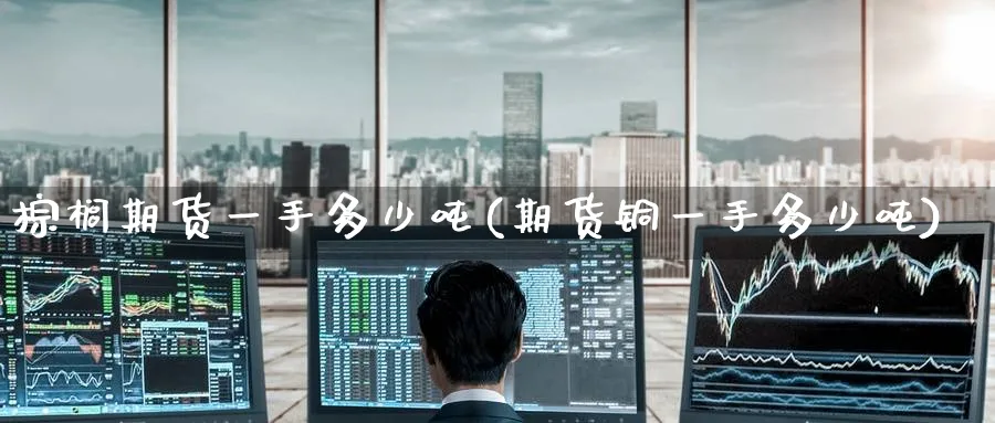 棕榈期货一手多少吨(期货铜一手多少吨)_https://www.baokan.net_期货软件_第1张