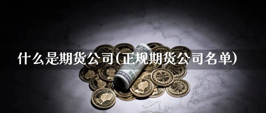 什么是期货公司(正规期货公司名单)_https://www.baokan.net_股指期货_第1张