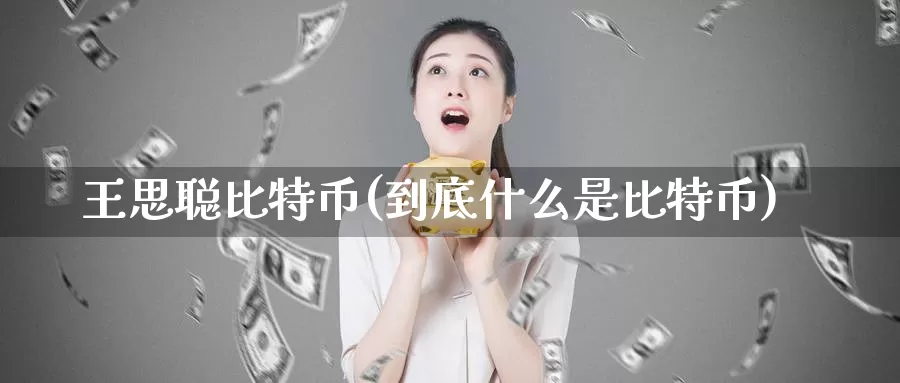 王思聪比特币(到底什么是比特币)_https://www.baokan.net_币圈行情_第1张